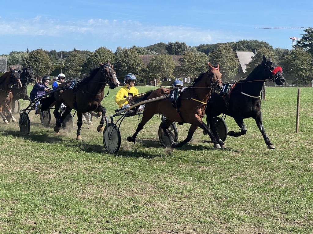 Paardenkoers Merelbeke